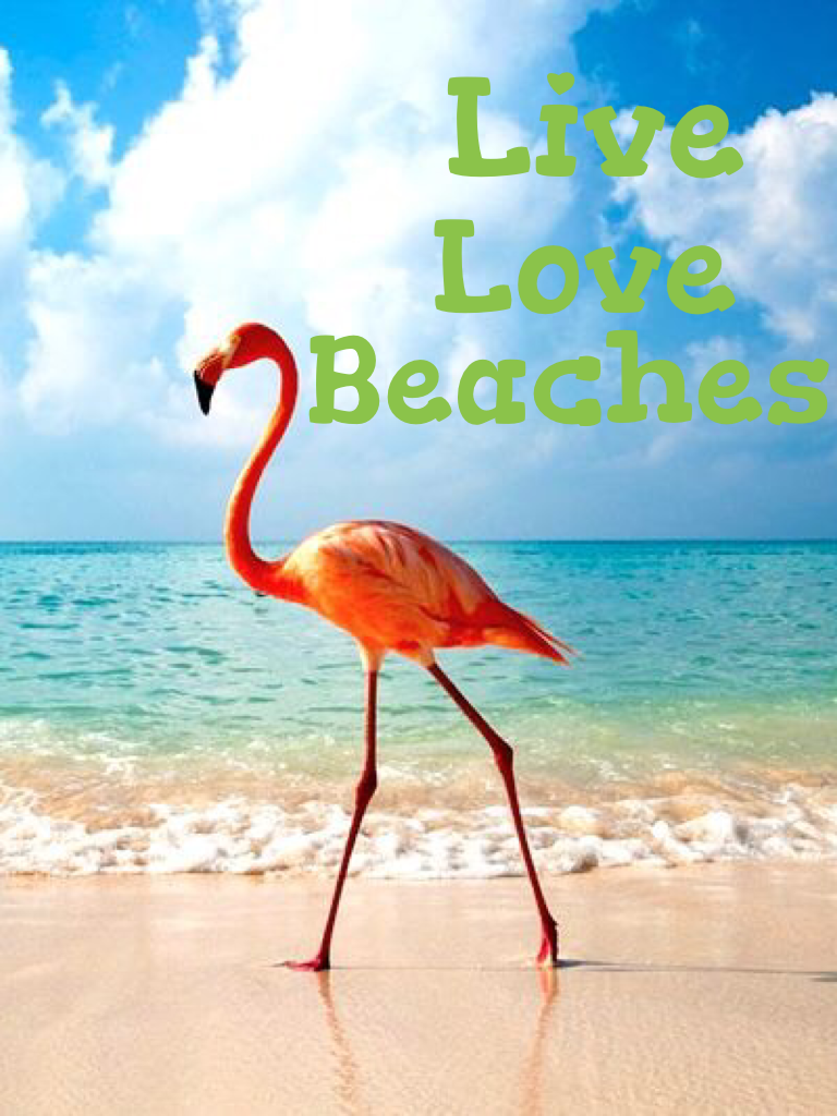 Gotta love Beaches and flamingos