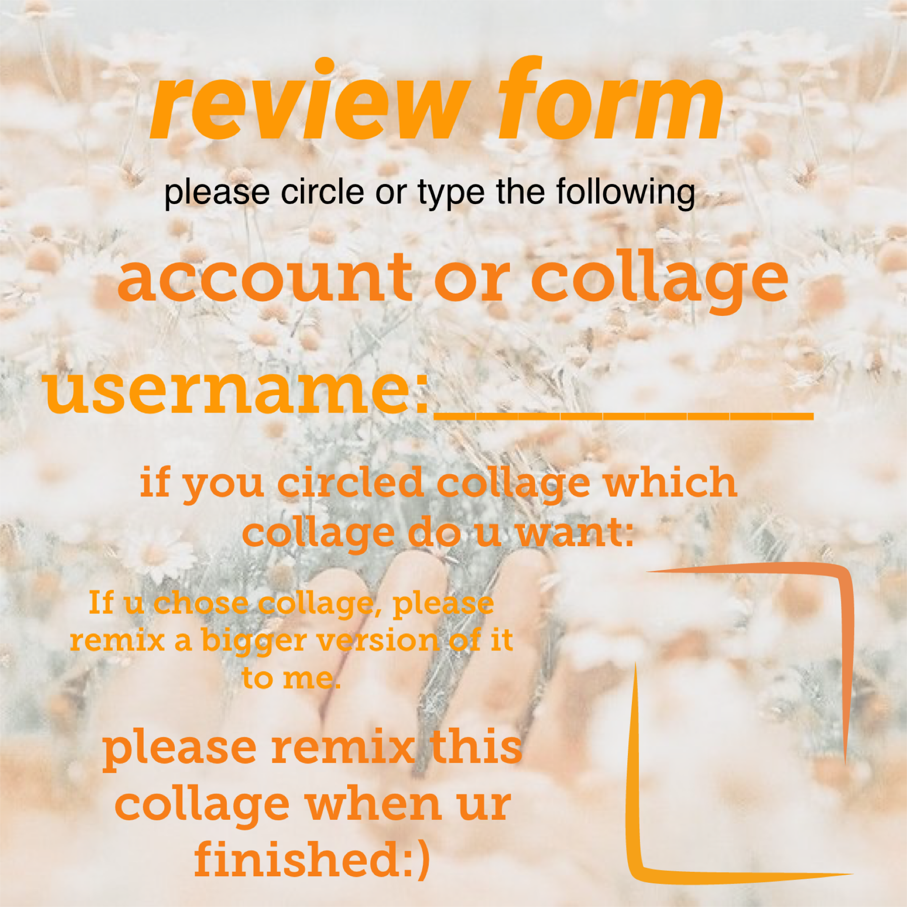 Account and collage review! Please join!