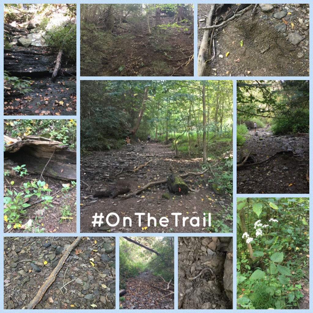 So in my science class we are going on a trail and I'll post pics every time we are there. I'll post some edits.
