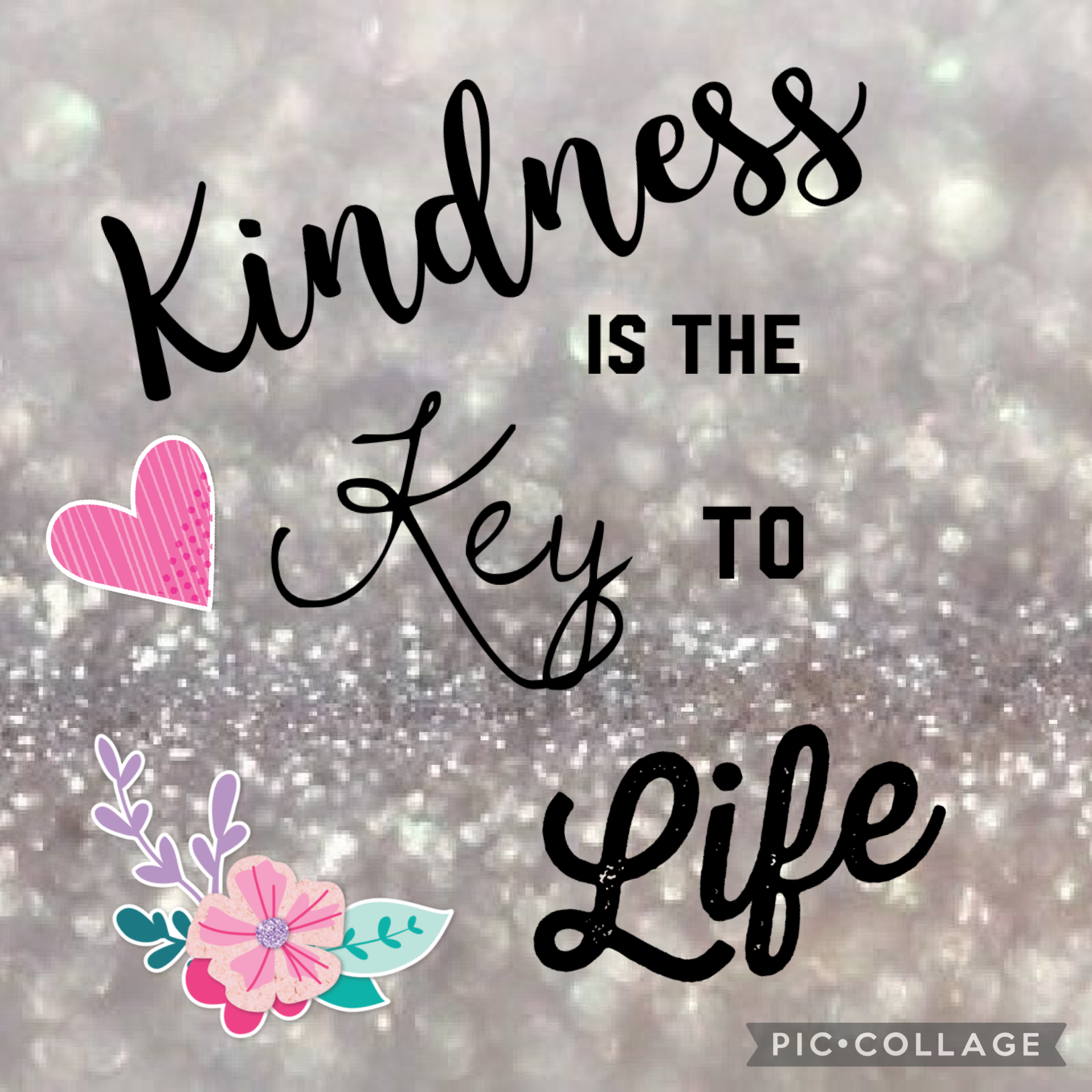 Be kind!! Follow for more!❤️
