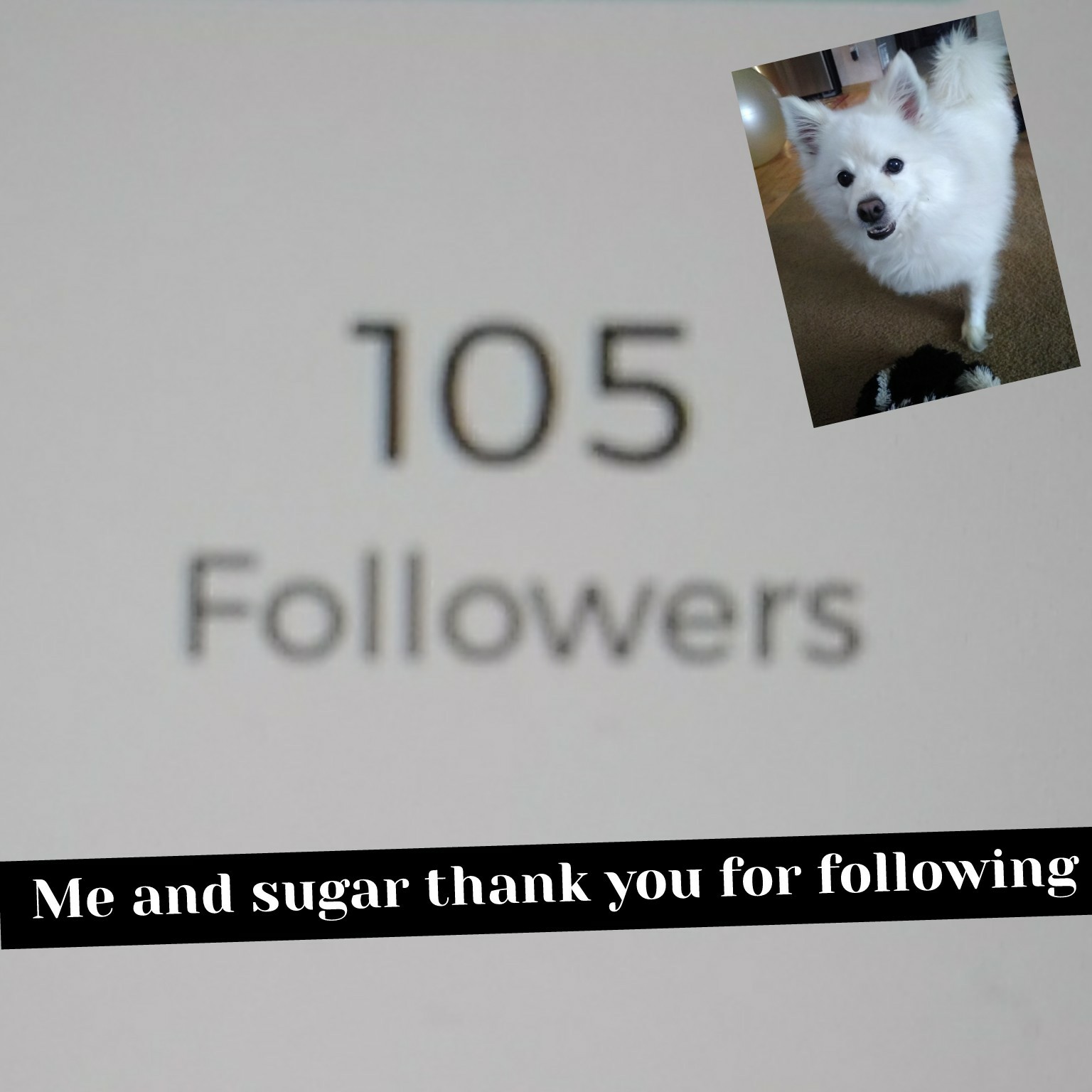 Me and sugar thank you for following