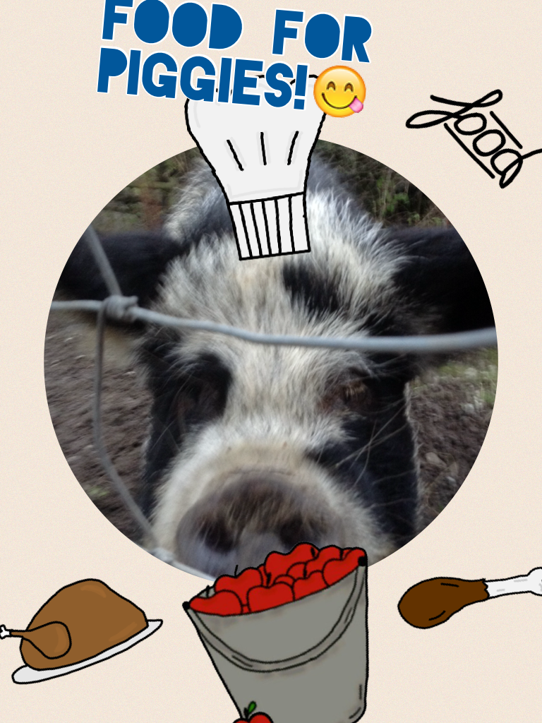 Food for piggies!😋
Rosie the pig!