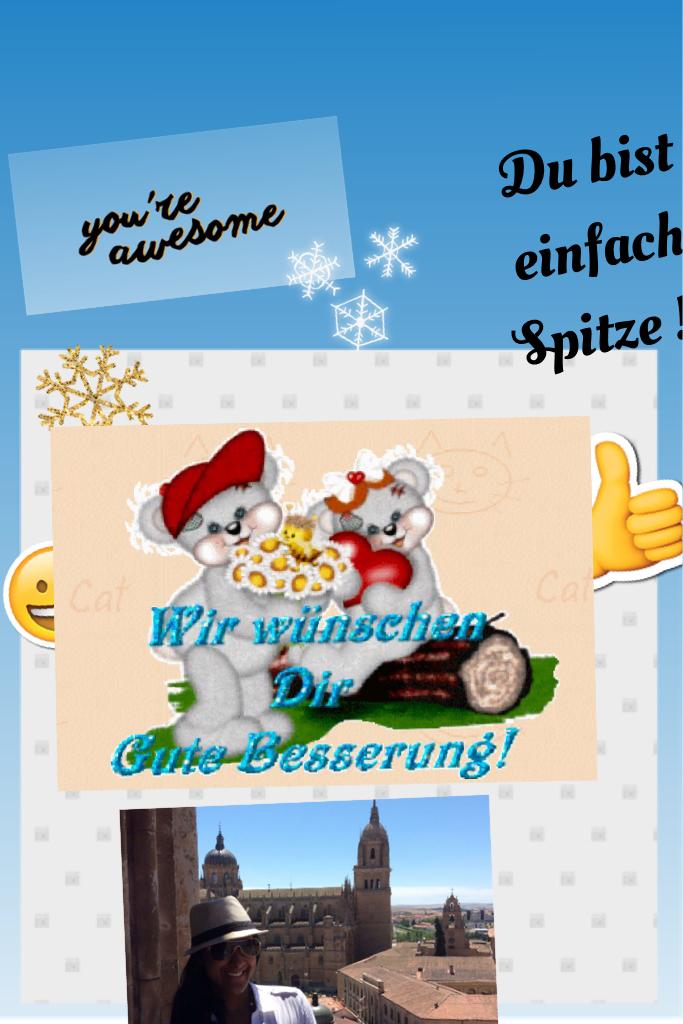 Du bist einfach Spitze !! You are awesome 