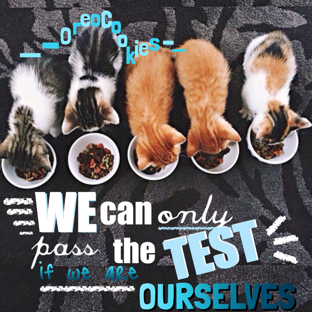 My state test is next week, and I believe in myself! Phonto/PC edit. Inspired by Angelic_Bliss!