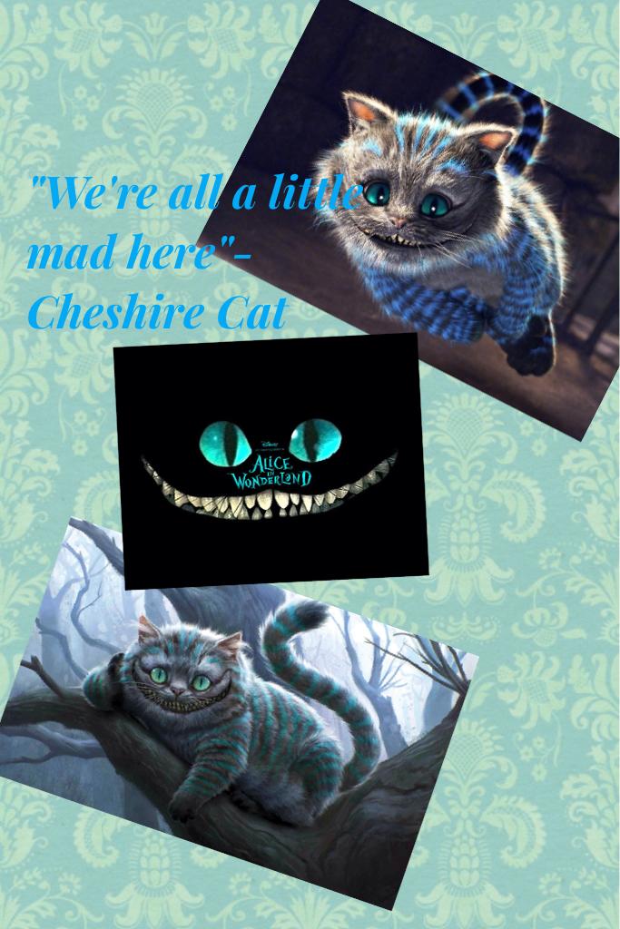 Dedication to Cheshire Cat