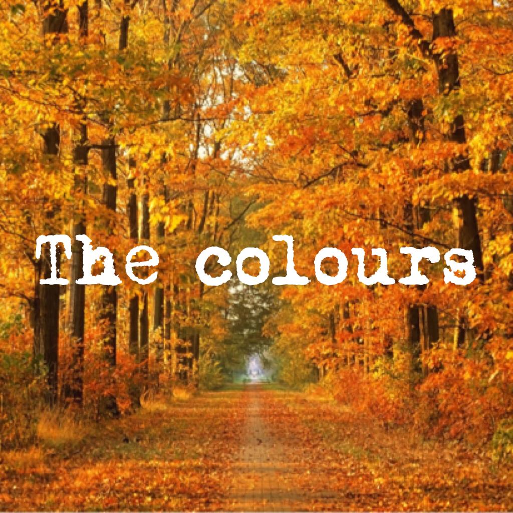 The colours