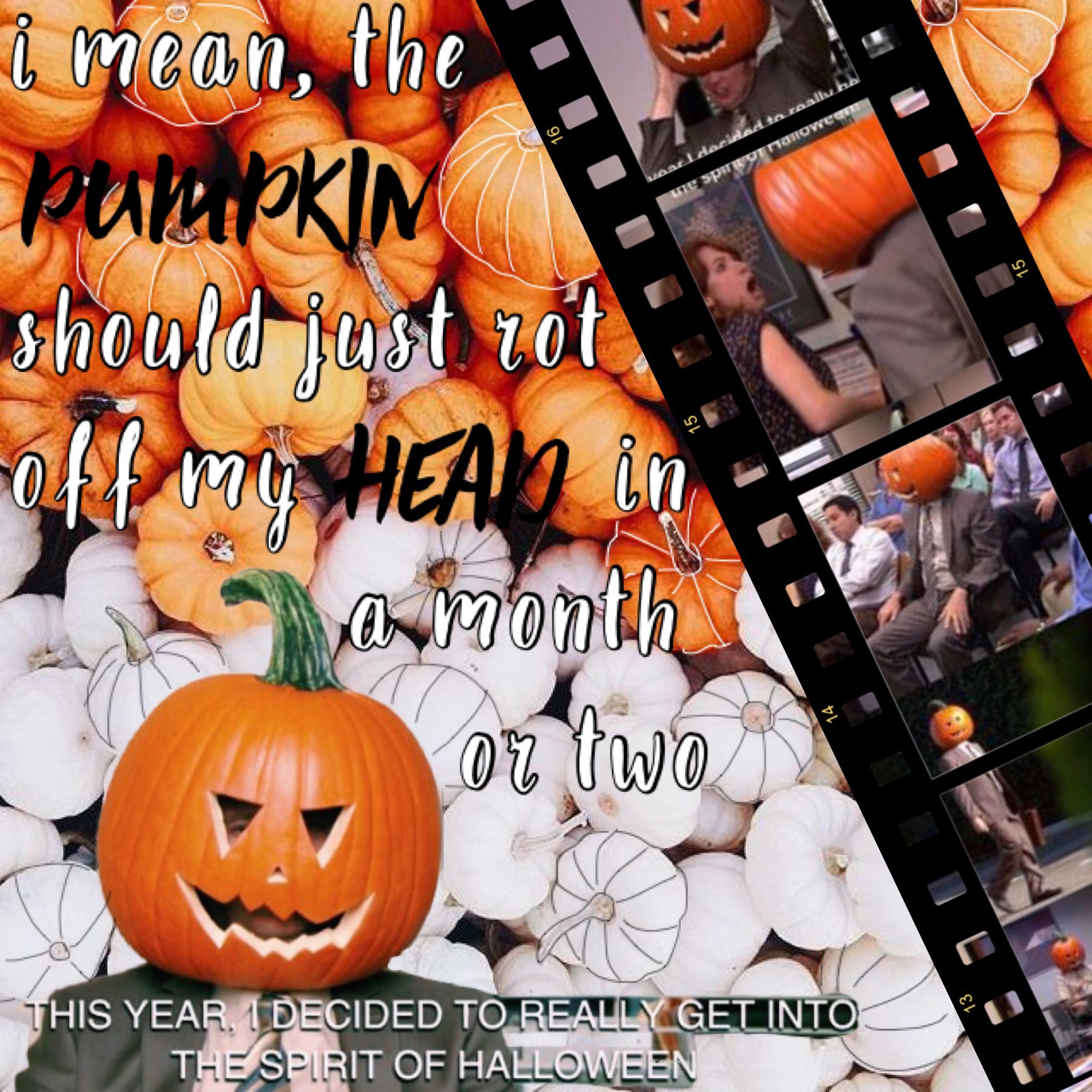 🎃 t a p 🎃
as you can see, I’m obsessed with the office. and halloween

qotd: what are you being for Halloween?
aotd: a Greek goddess (I’ll post a pic) 