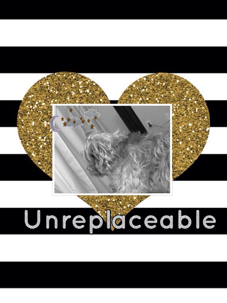 Unreplaceable!💛💙💜💚❤️