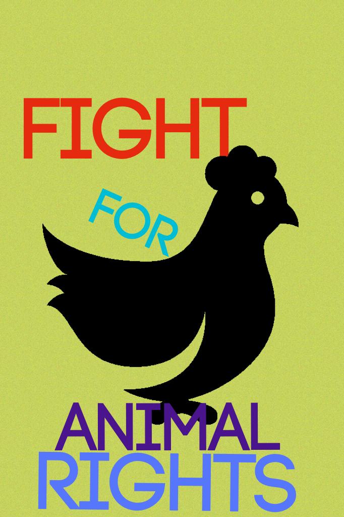 Fight for animal rights