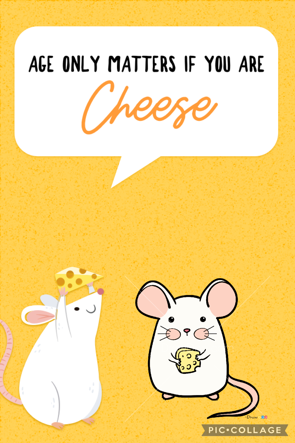 Cheese X mouse