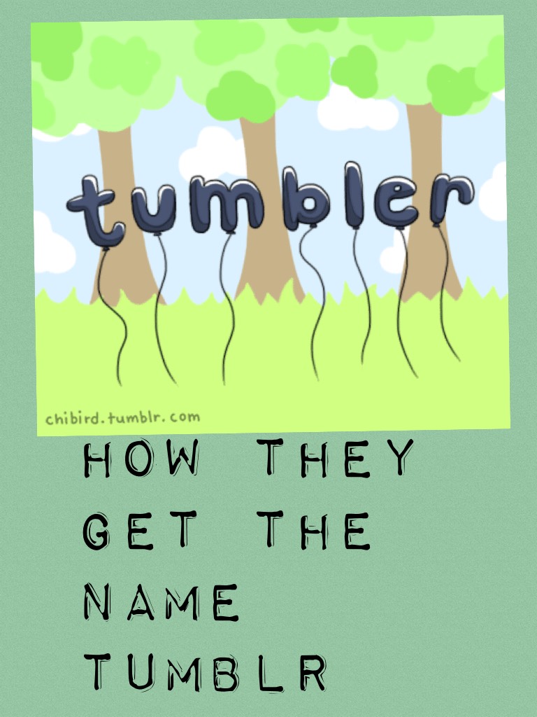 How they get the name tumblr 