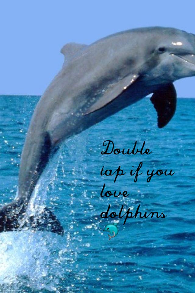 Double tap if you love dolphins🐬