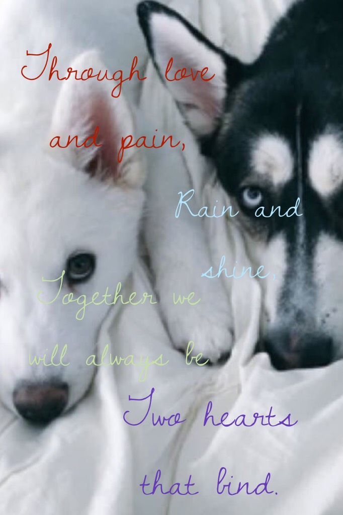 *TAP*
❤️😍😘Love😘😍❤️ 
Check out PaintedRocks!! It's my second account and is all about spreading happiness!!! Credit to crumP1CS for the background pic of the dogs!! 😁😁❤️😘🐶