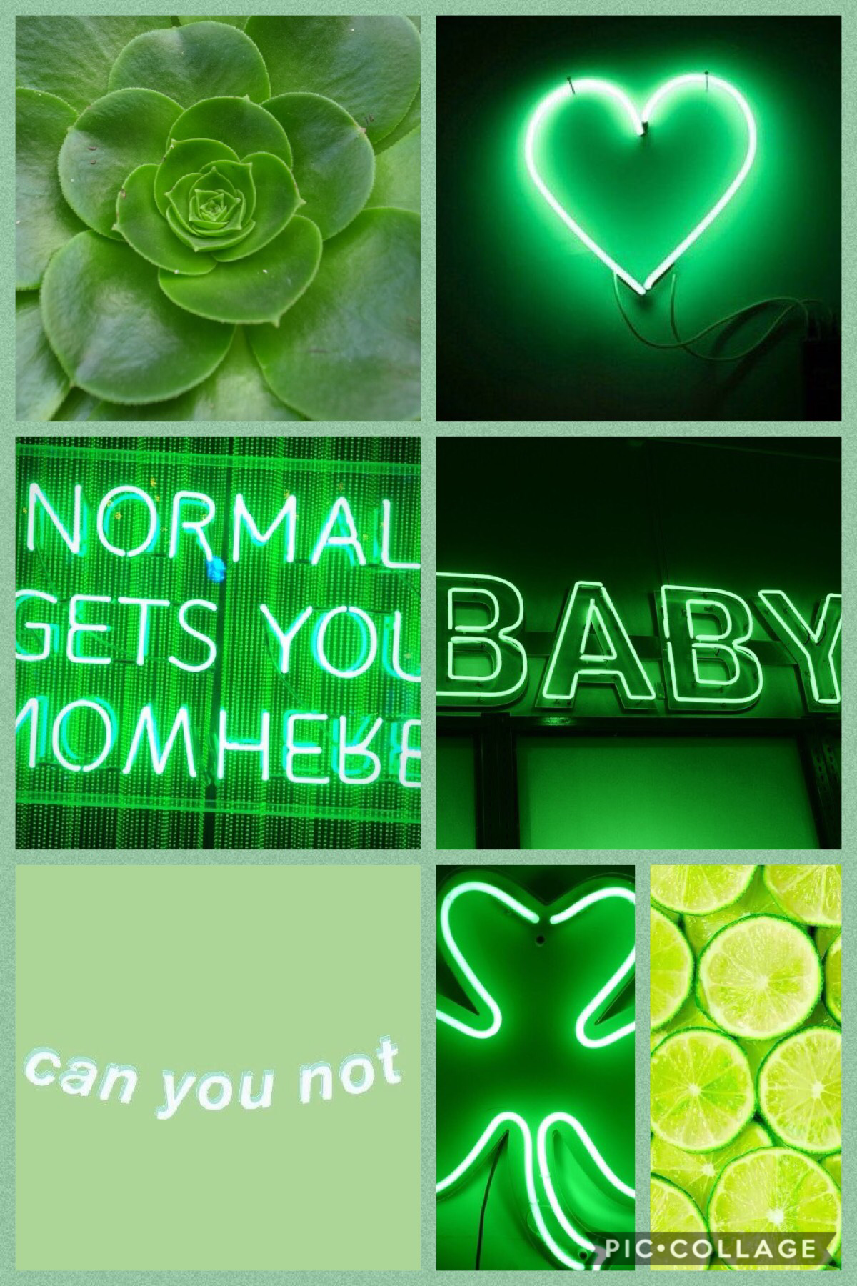 Lucky aesthetic🍀🌵💚❇️ You’ll get lucky if you like this!