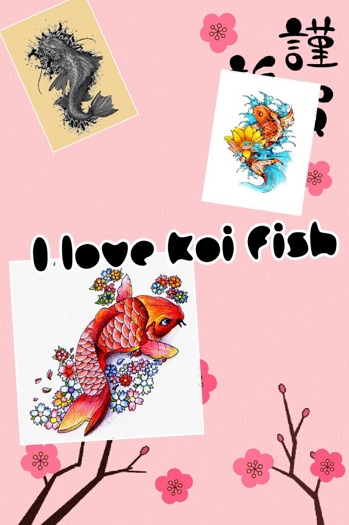 I love koi fish