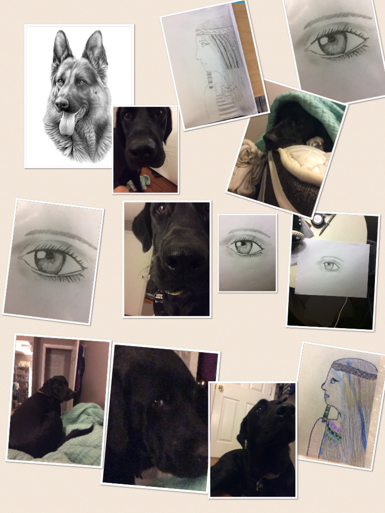 Drawings and pictures of my dogs