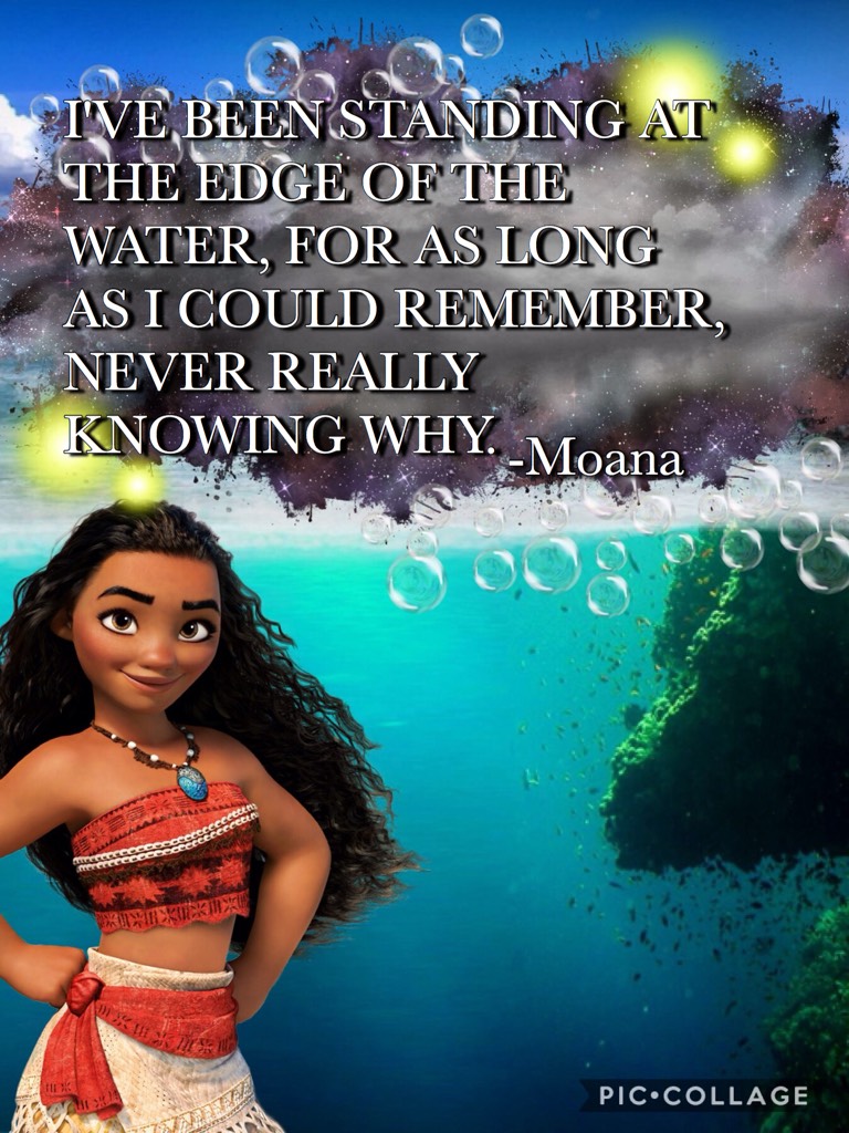 ••Never Really Knowing Why•• Moana♡