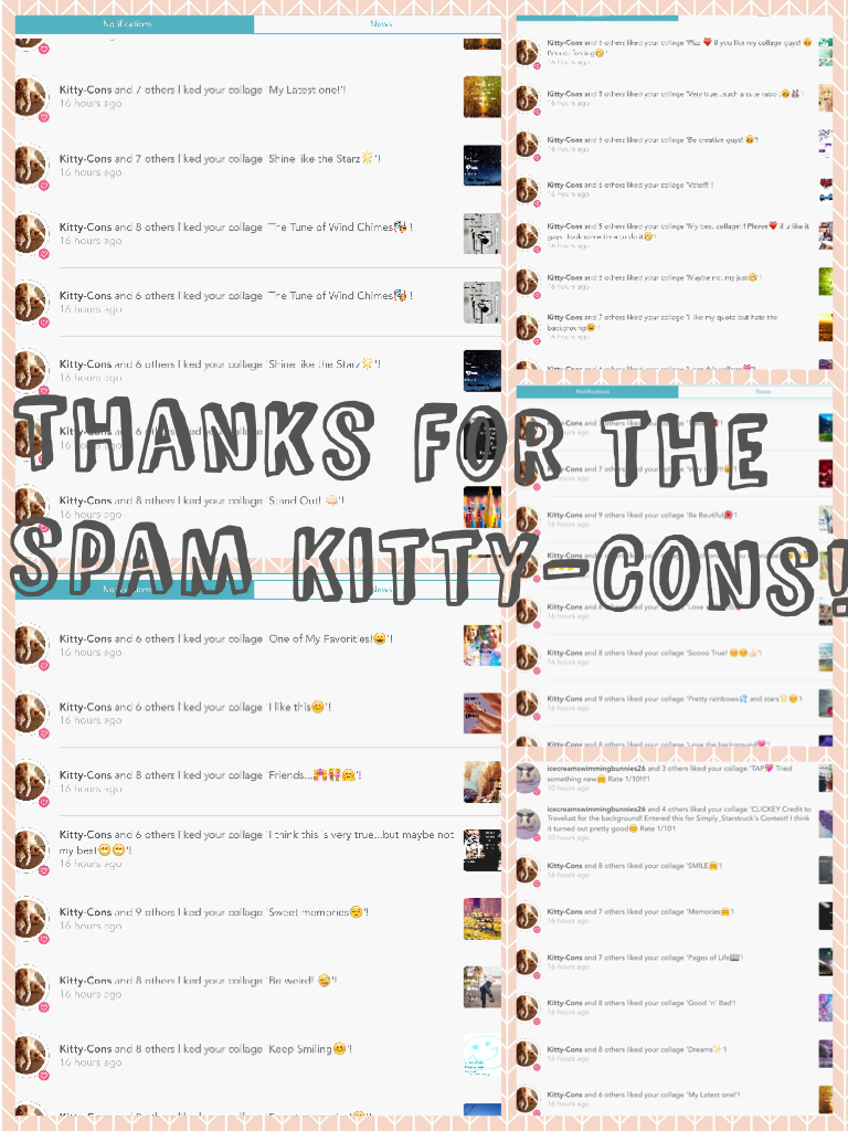 Thanks for the spam Kitty-Cons!