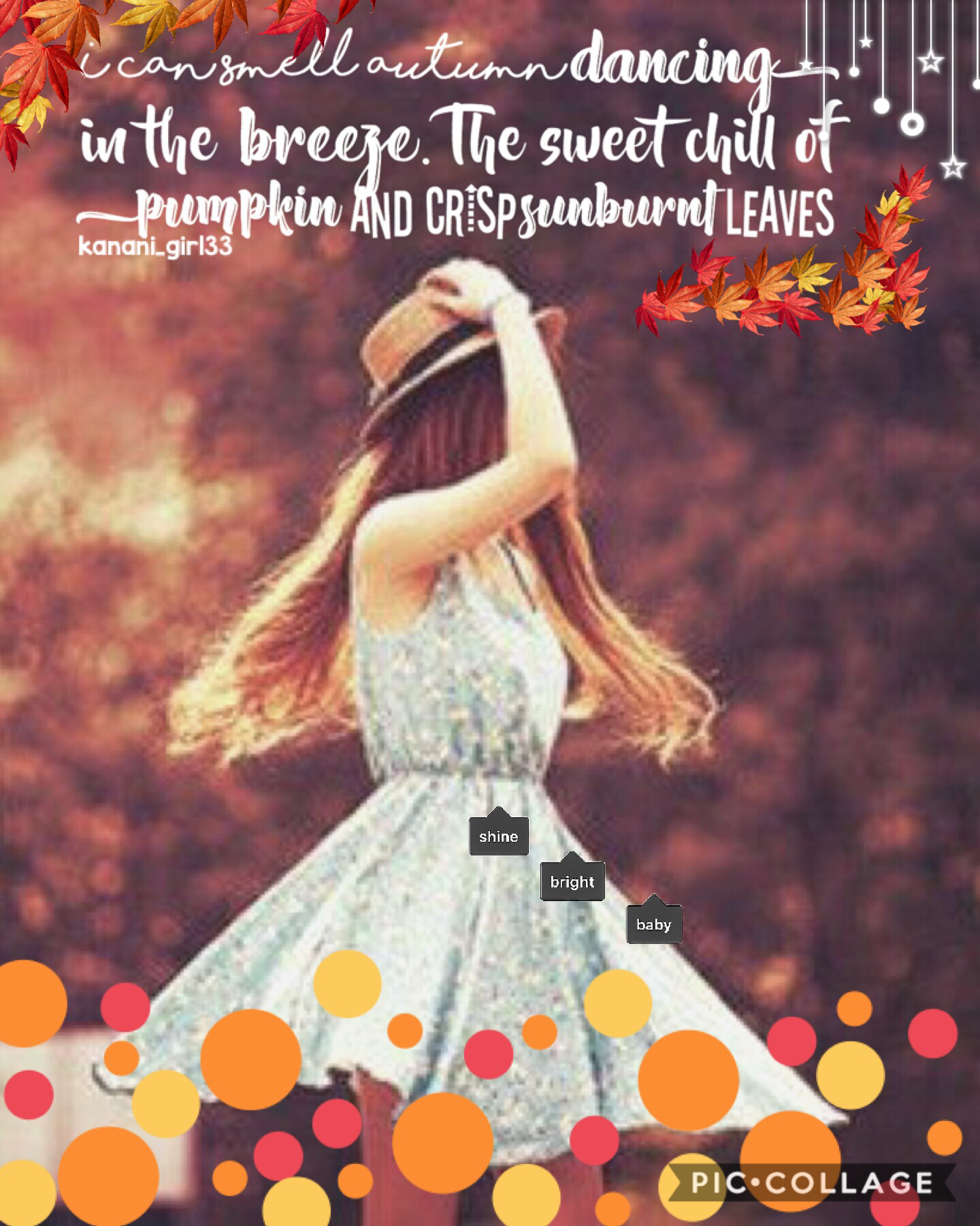 I entered this into @PicCollage’s fall theme contest!!! Rate /10!! Qotd: what’s your favorite thing to do in autumn? 