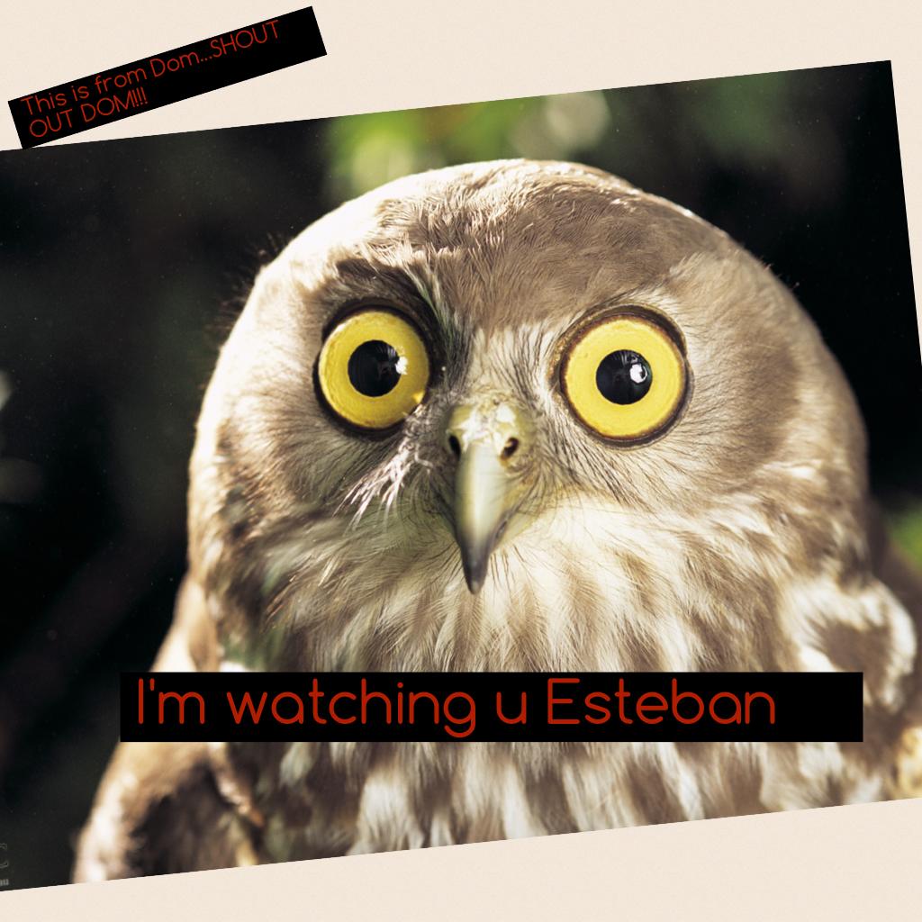 I'm watching u Esteban
