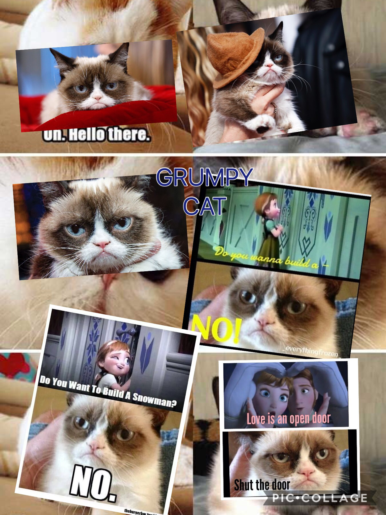 Collage by AwesomeGrumpyCat