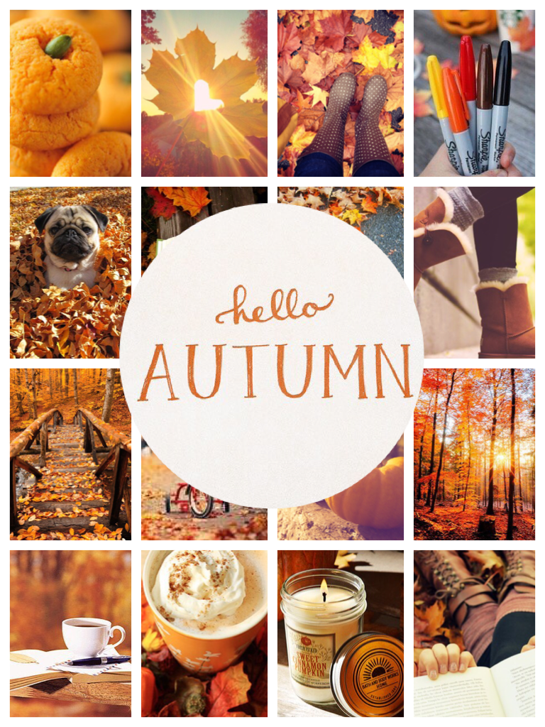 💩🍂🍁I love autumn/fall🍁🍂💩
