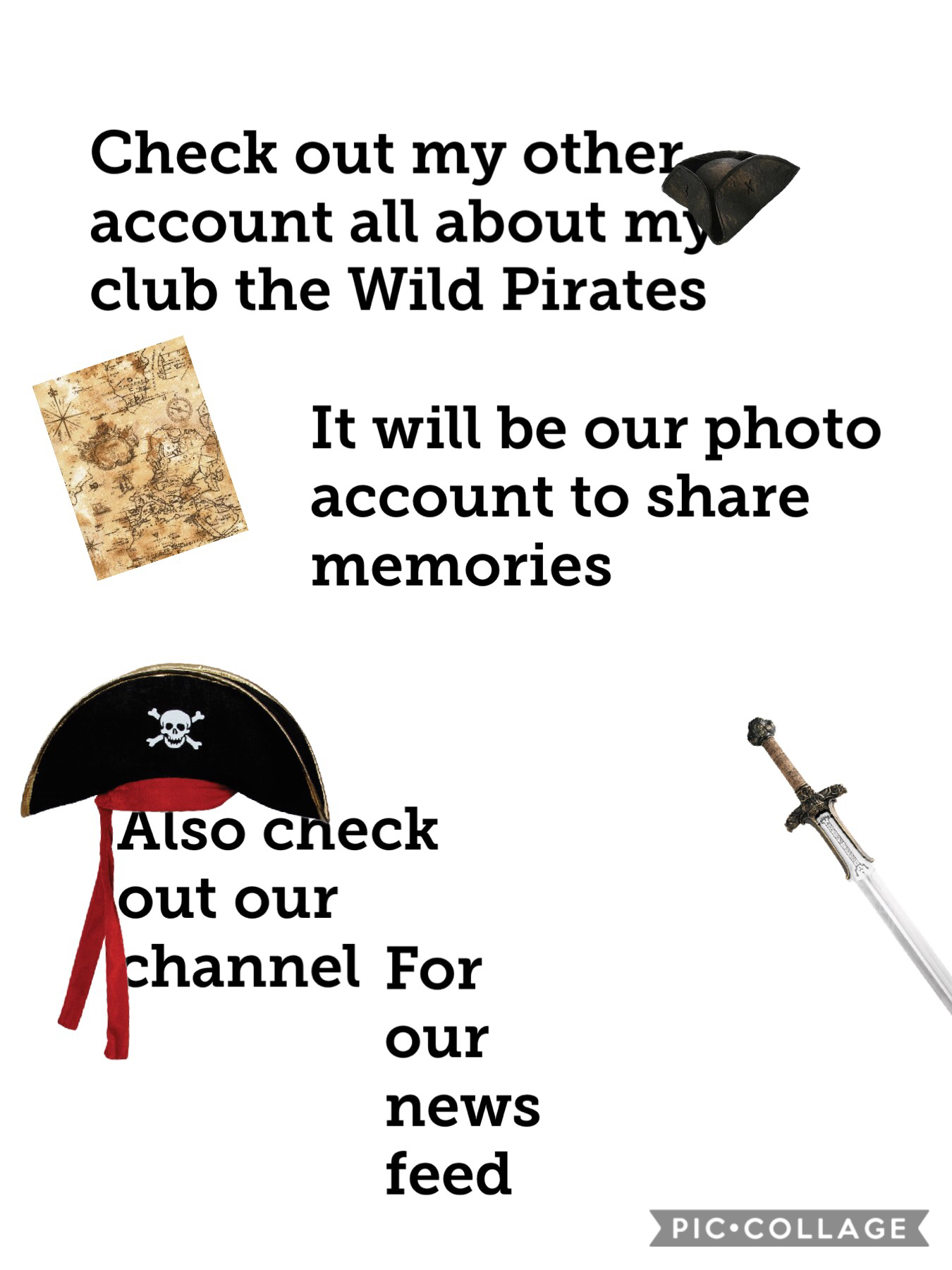 The wild pirates info