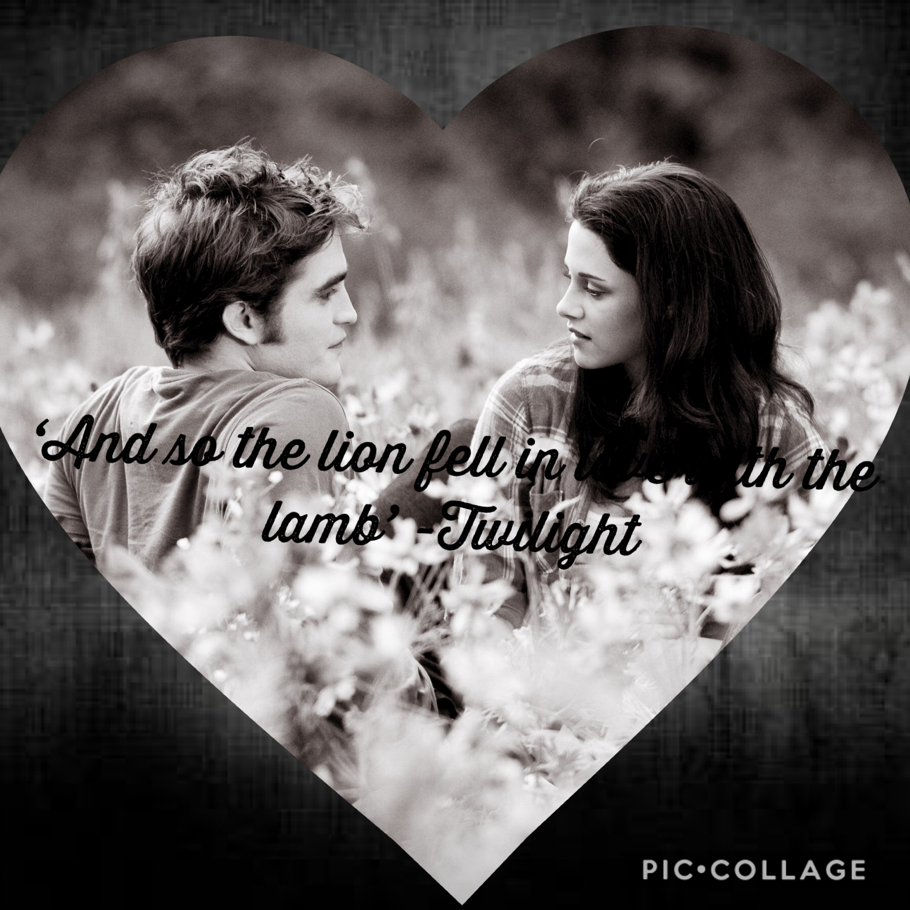 And so the lion fell in love with the lamb..... - Edward Cullen, Twilight.