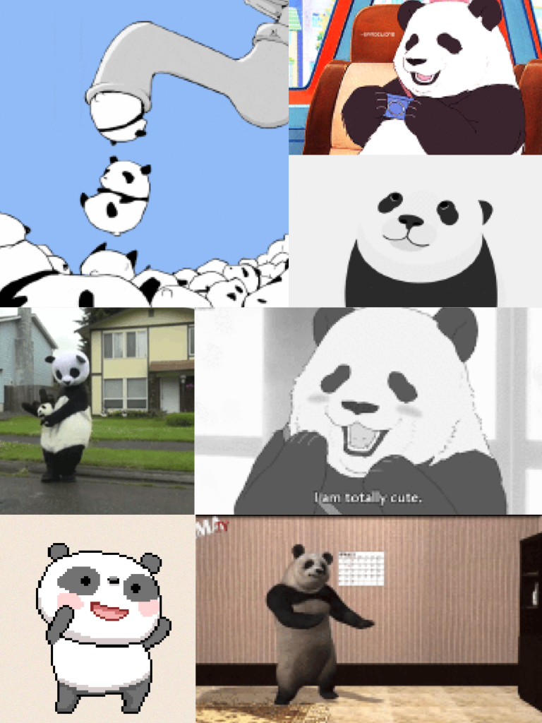 Pandas are so cute luv pandas