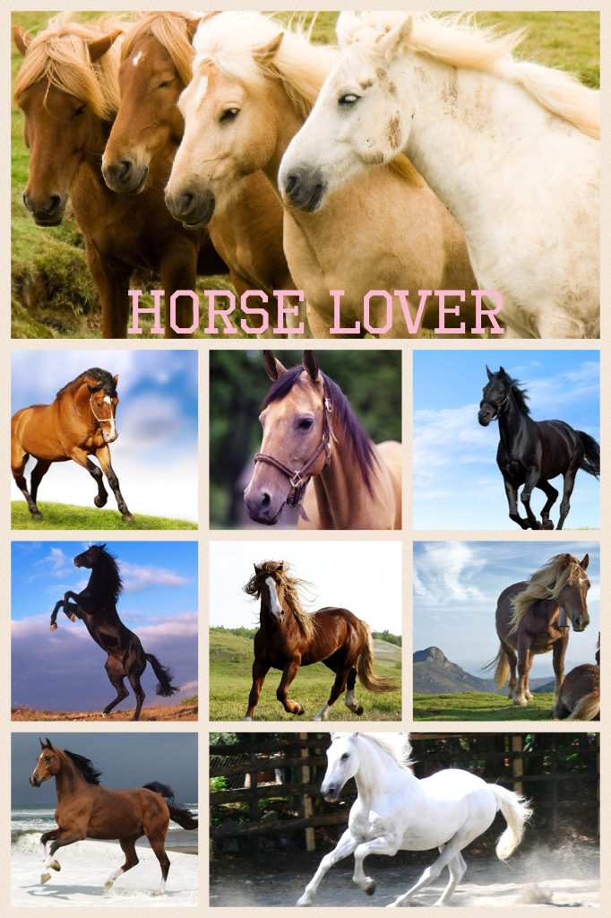 Horse lover 