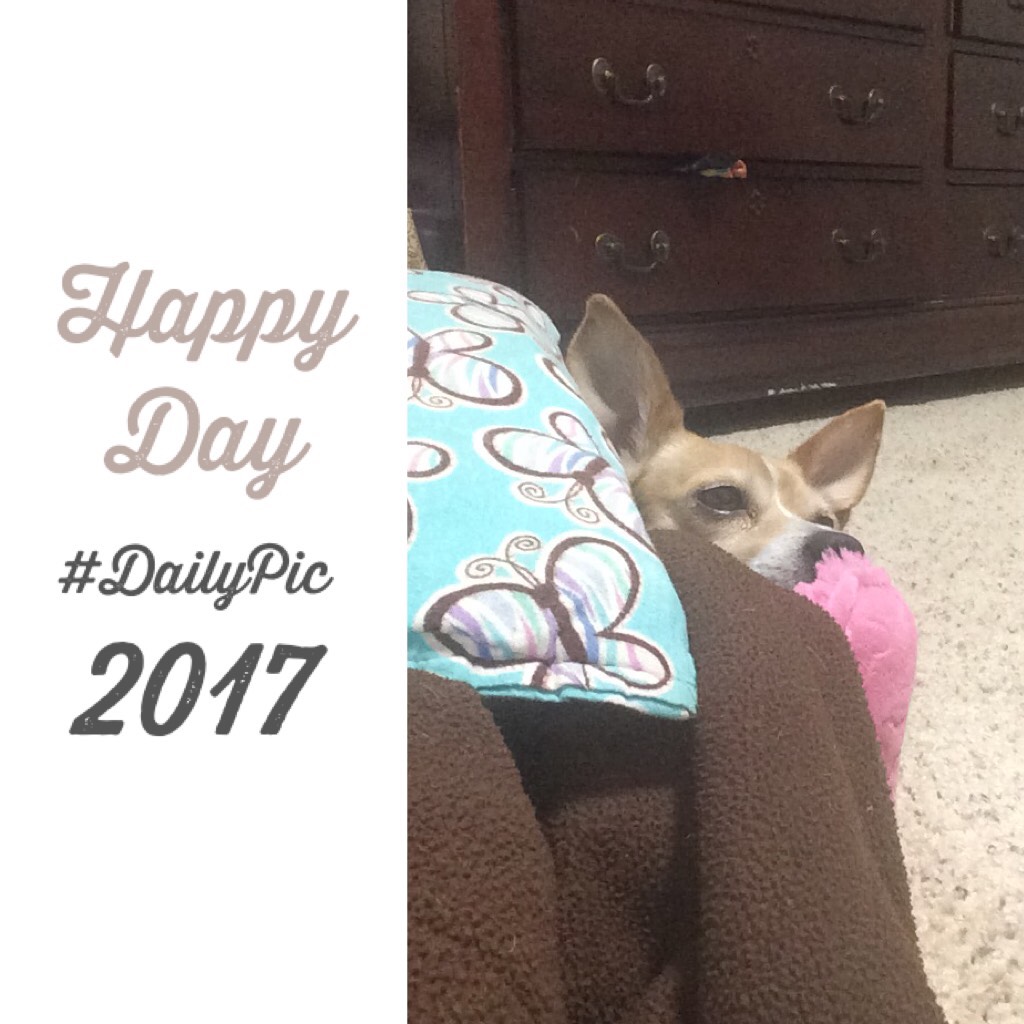 2017 this is my dog isn’t she cute ❤️❤️❤️❤️❤️