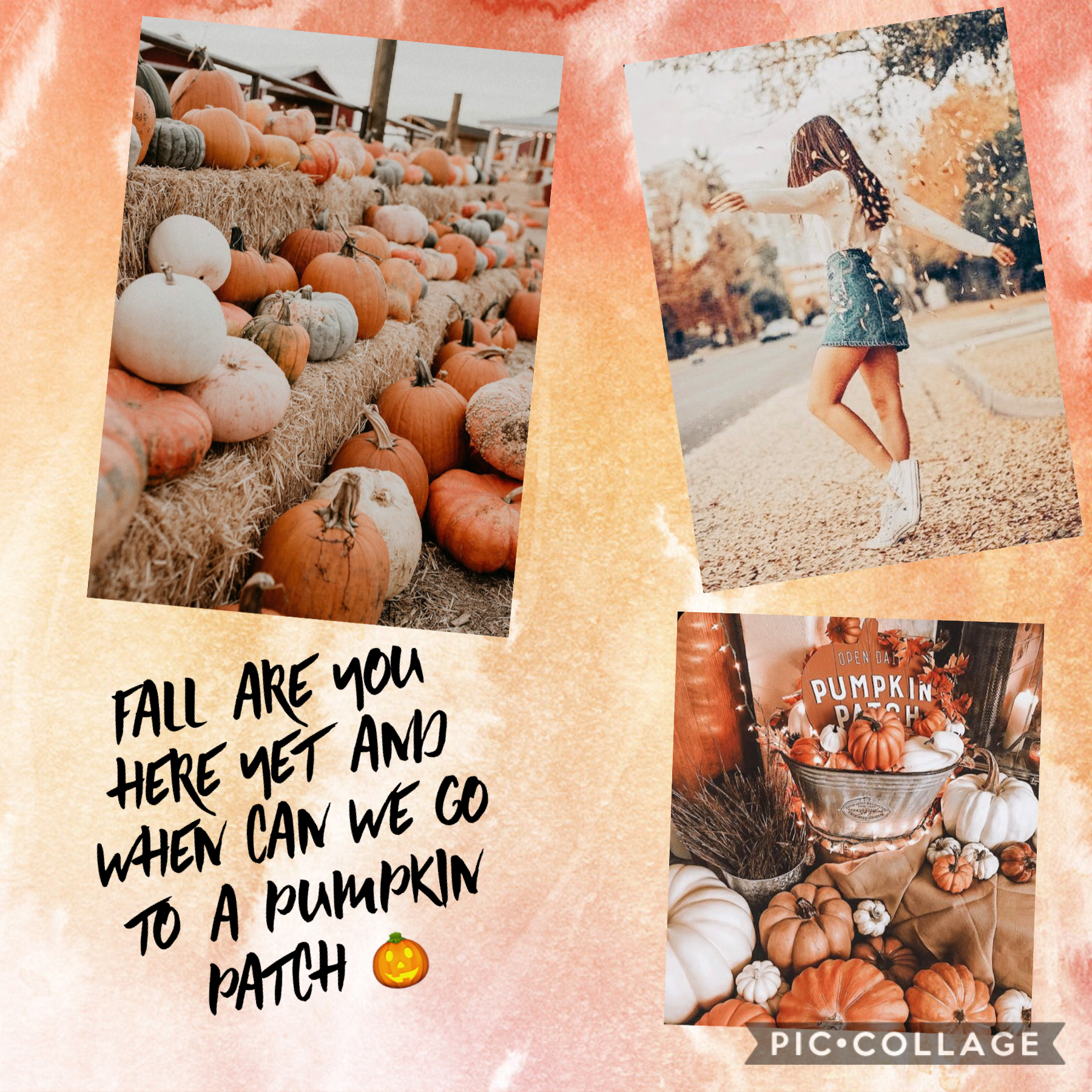 Hi everyone 😊
How is everyone? Hope you all are having a good fall break! And please comment if you have been to a pumpkin patch 🎃 also I’m ready for fall and comment if you are ready for fall too 🍂🍁🎃