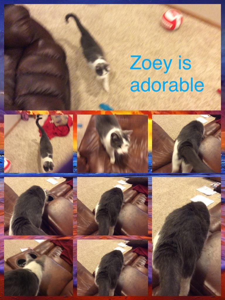 Zoey is adorable.