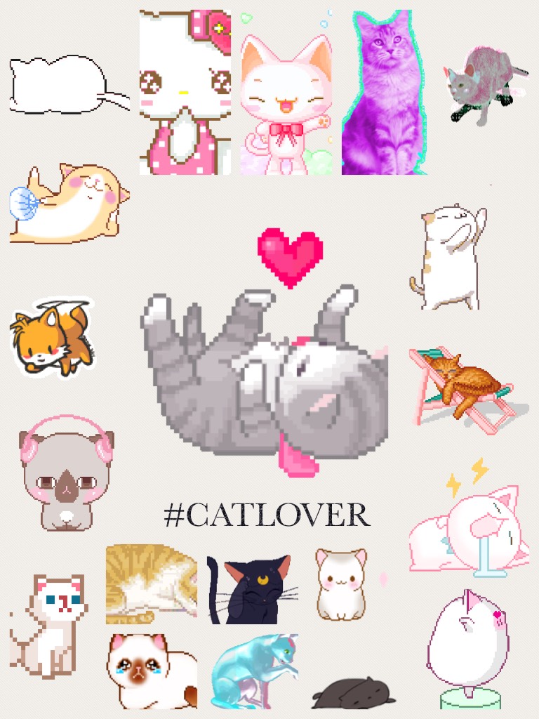 #CATLOVER