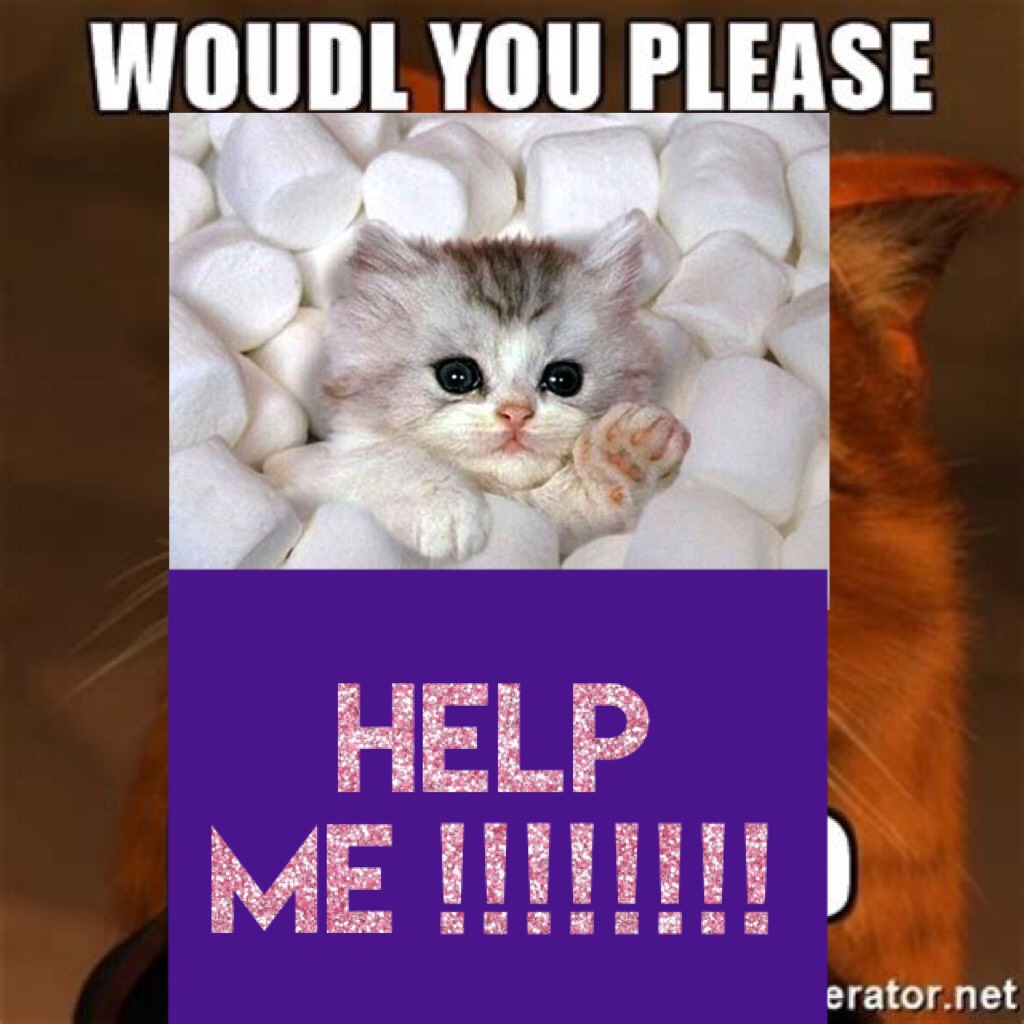 Help me !!!!!!!!