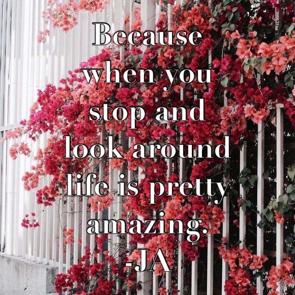 Because when you stop and look around life is pretty amazing.
-JA 