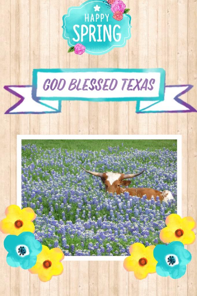 God Blessed Texas