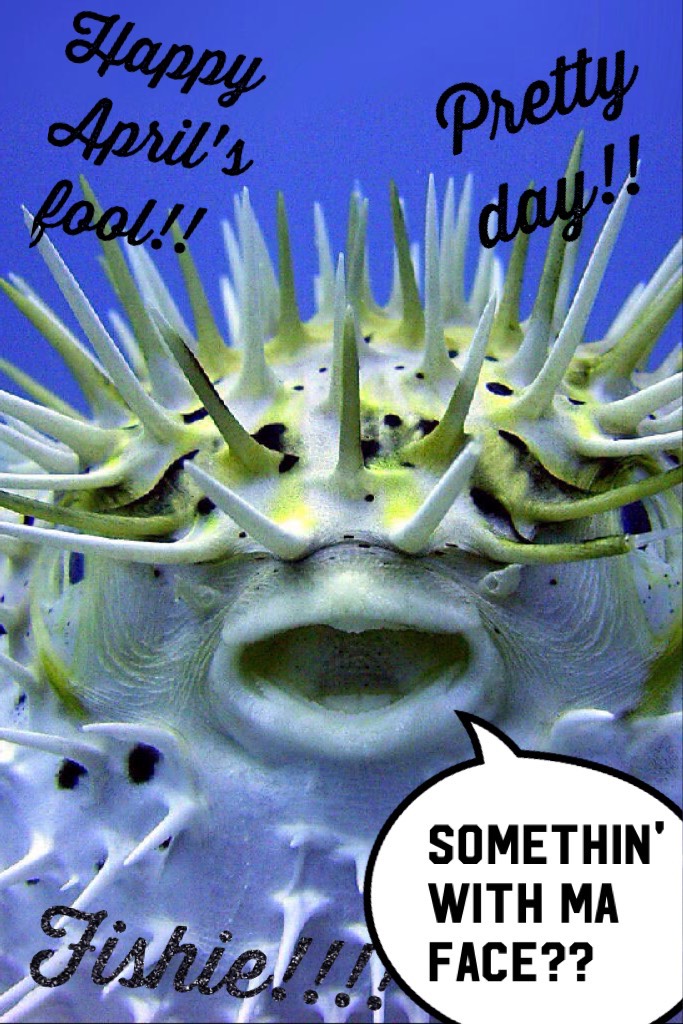 Happy April's fool to you silly people out there!!!! 🐟 