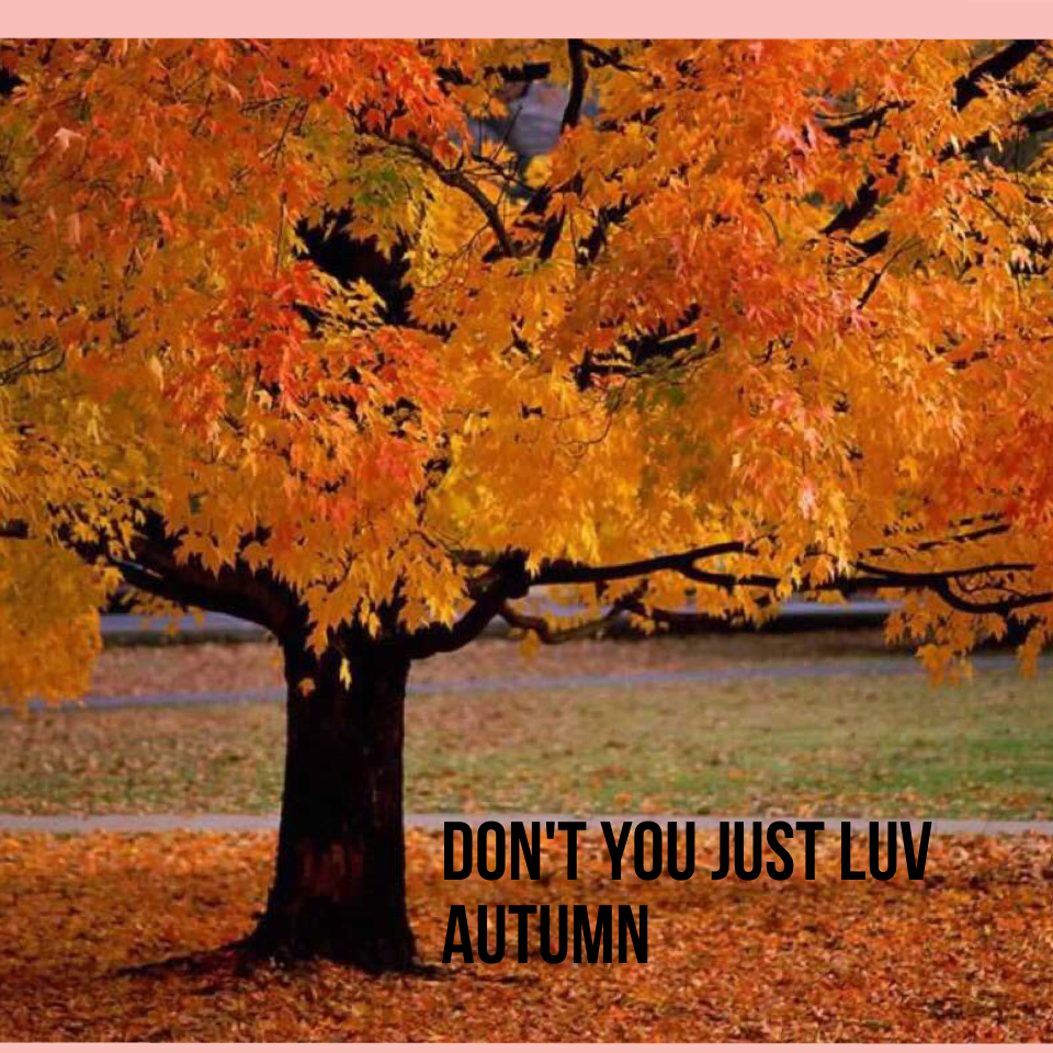 Don't you just luv Autumn