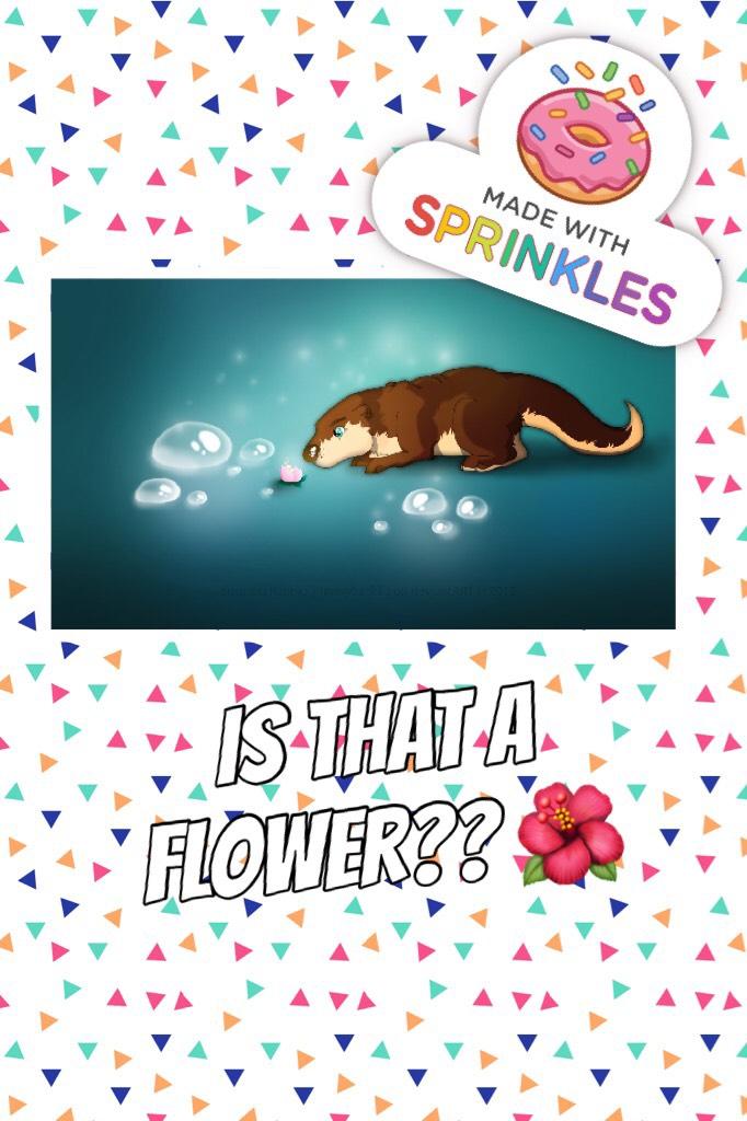 Is that a flower?? 🌺