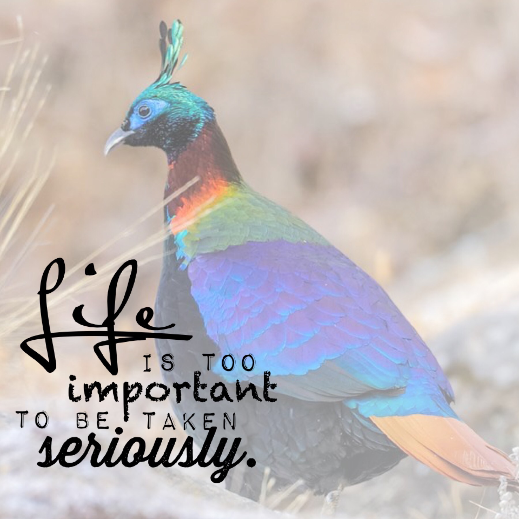 Life is too important to be taken seriously.