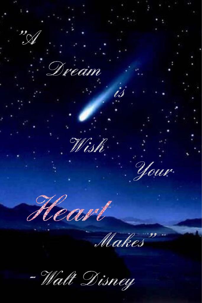 A dream is a wish your heart makes when you fast asleep.
