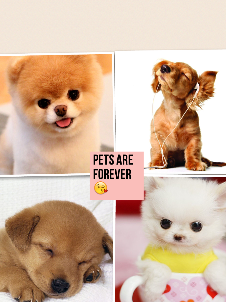 Pets are forever 😘