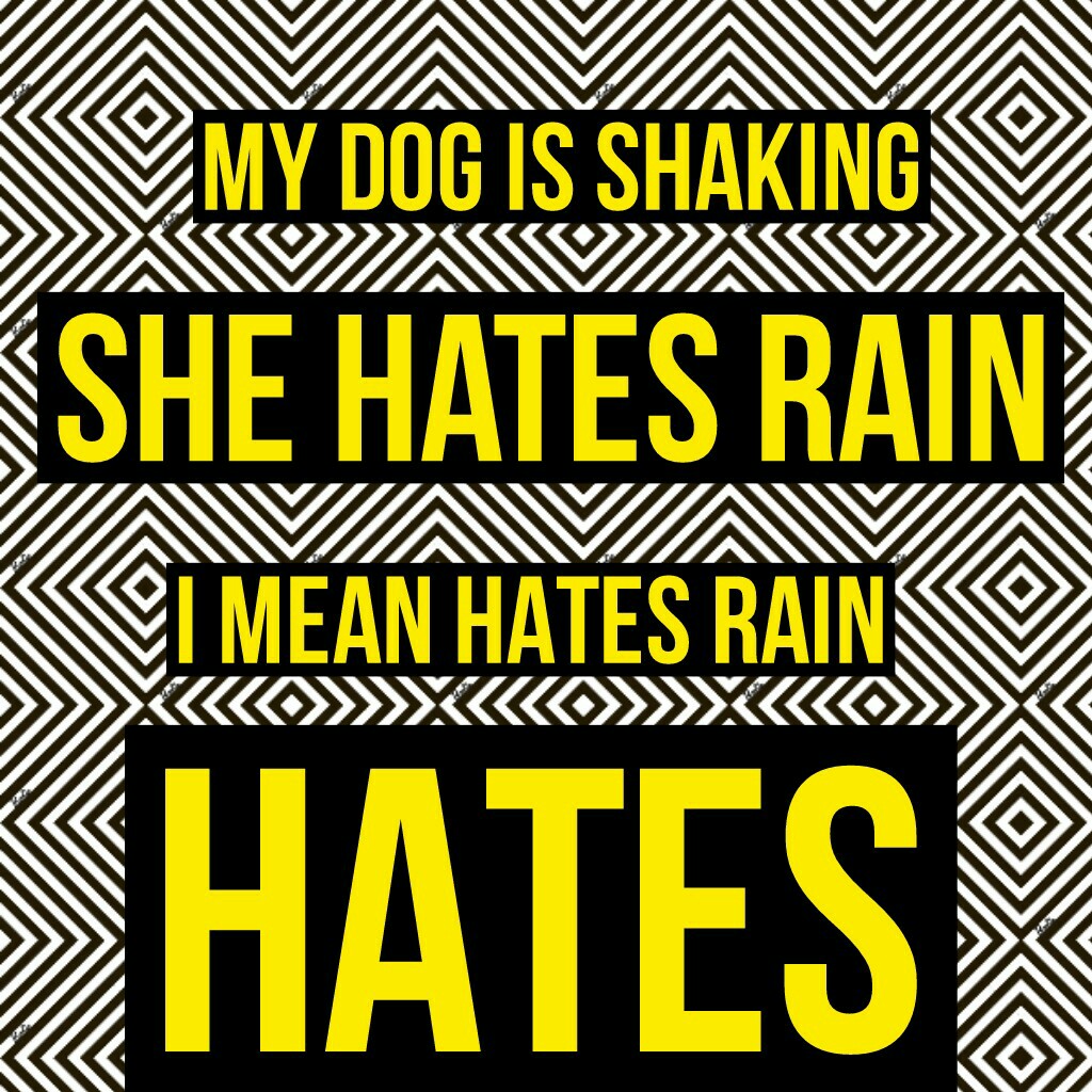 HATES rain
