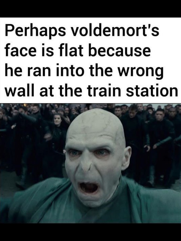 I hve alwayyys wondered why Voldemort's face was flat.....
This is the best answer EVER!!!!