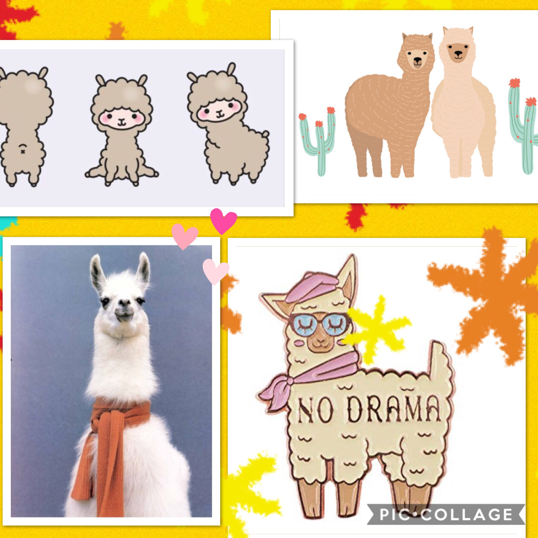 I've been loving llama's there so cute ☺️