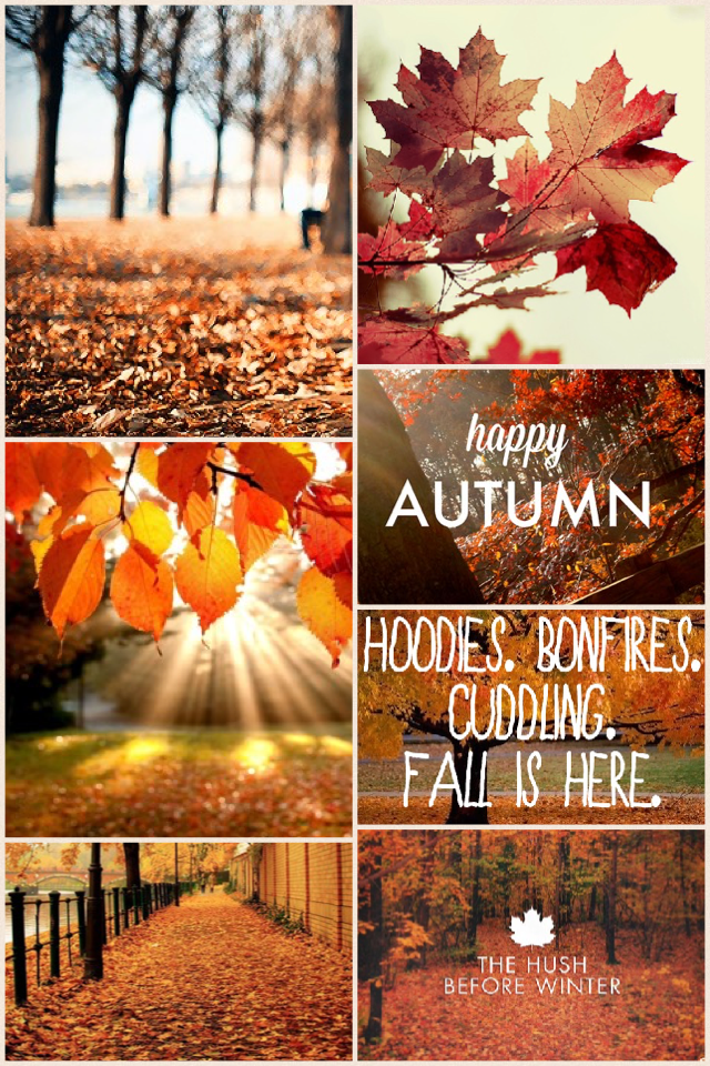 Falling in love with Autumn