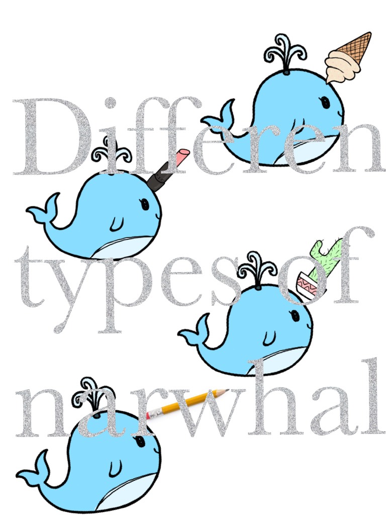 Different types of narwhals