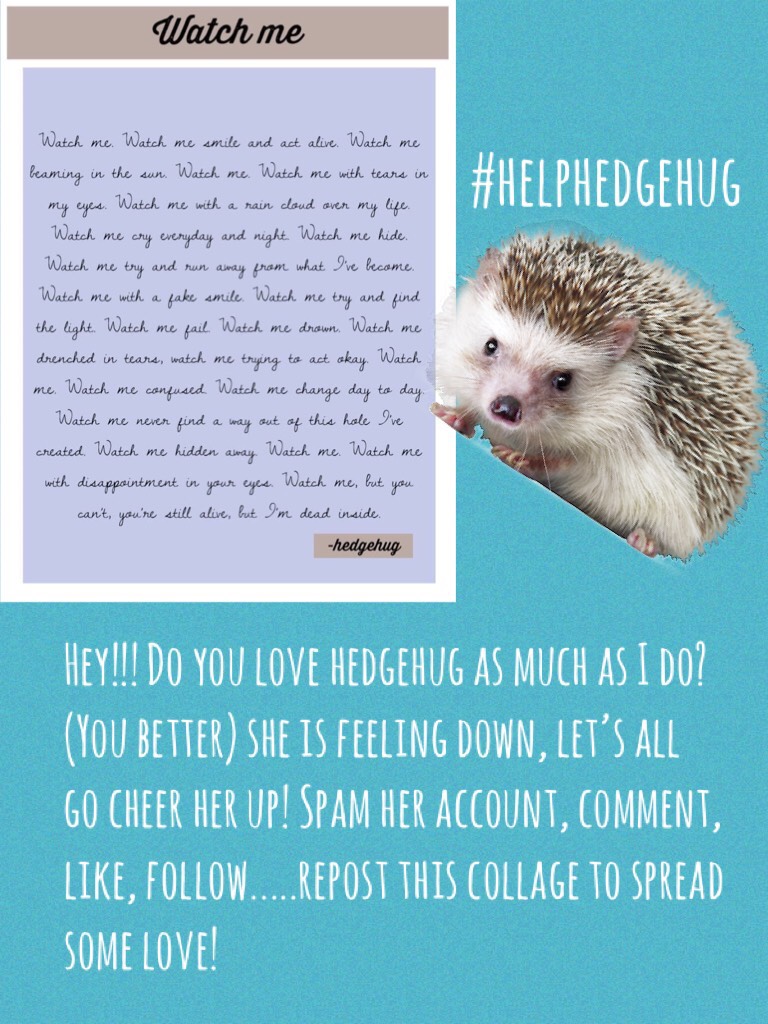 #helphedgehug. Please repost this collage! 
