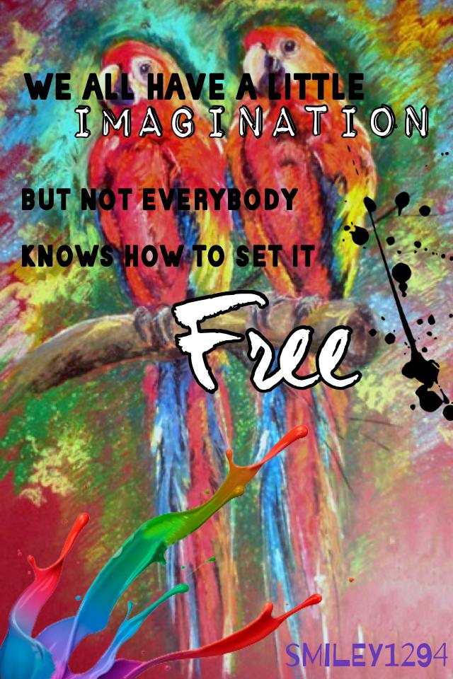 SET FREE YOUR IMAGINATION 